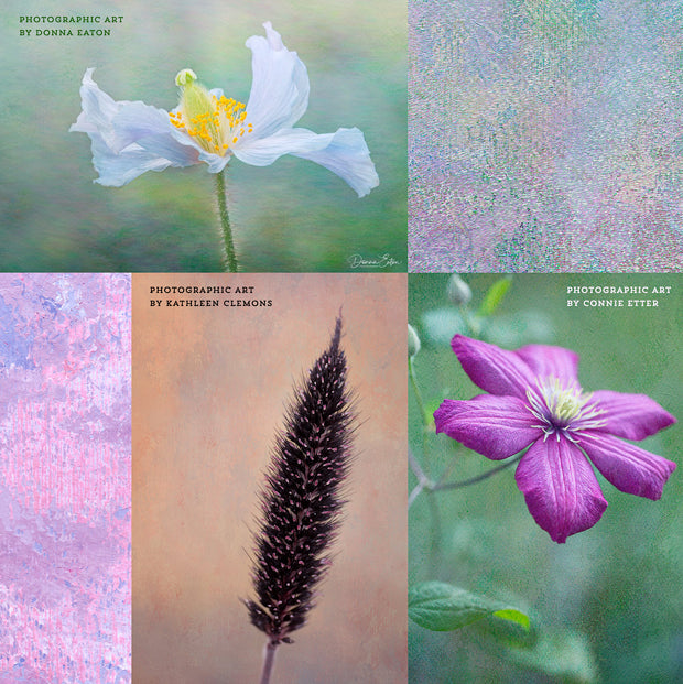 Examples using the Virtuoso Painterly fine art texture collection.