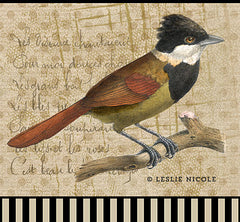 Design using a vintage bird image, Photoshop brushes and digital paper. Design by Leslie Nicole using French Kiss Collections.