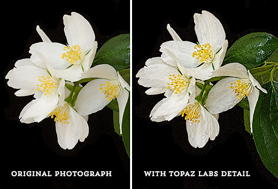 Side by side comparison before and after the Topaz Labs Detail filter.