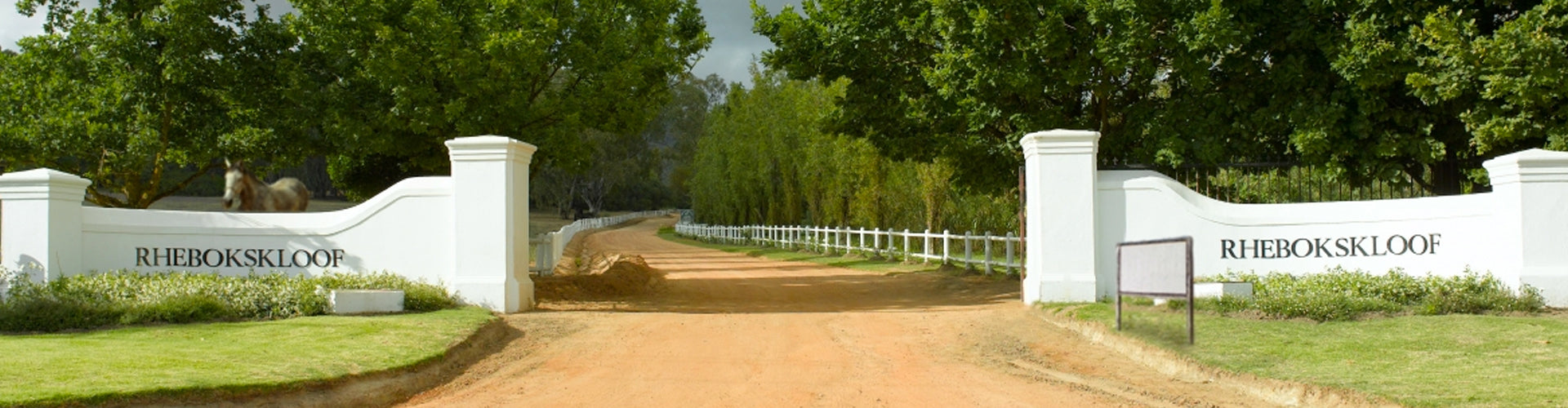 Rhebokskloof Wine Estate Paarl South Africa