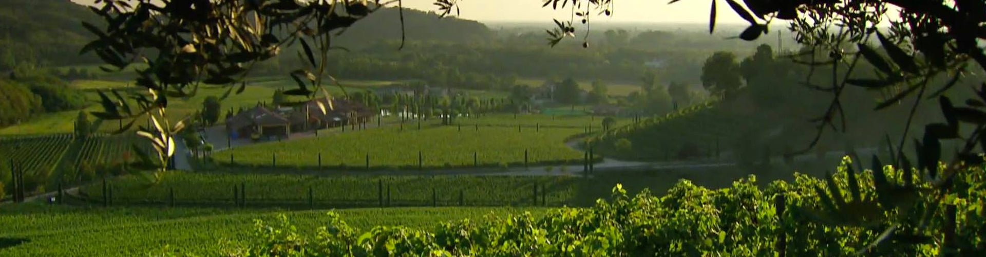 Jermann Winery and Vineyards in Friuli