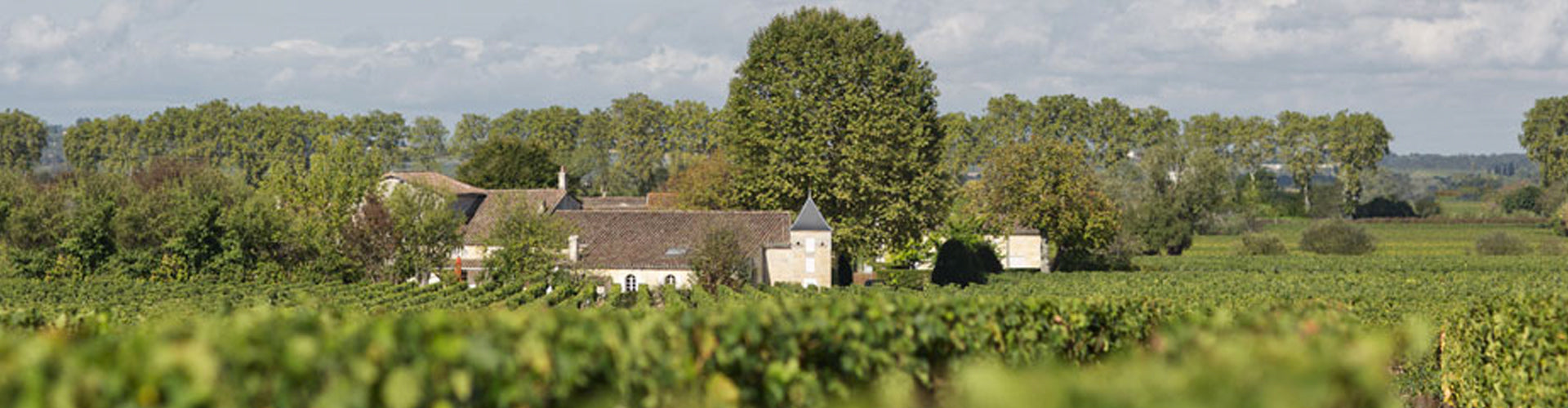 Château Bourgneuf and vineyards