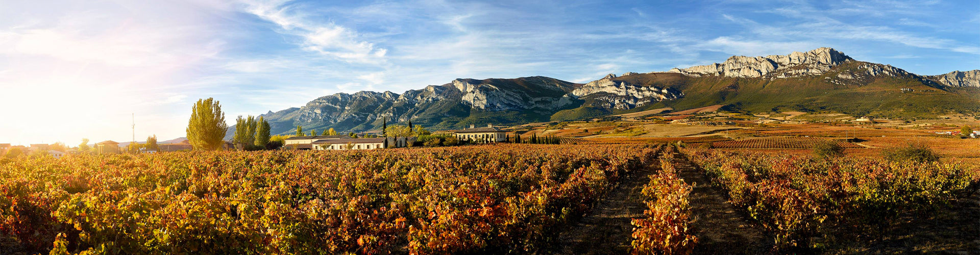 La Rioja Alta S.A Vineyards in Spain