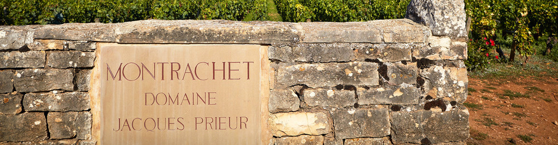 Domaine Jacques Prieur Montrachet Vineyard