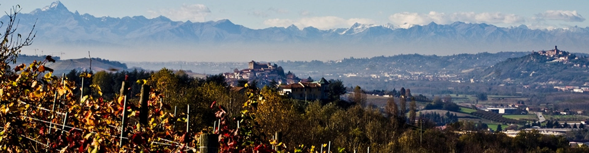 Barolo Vineyards Piemonte in Italy
