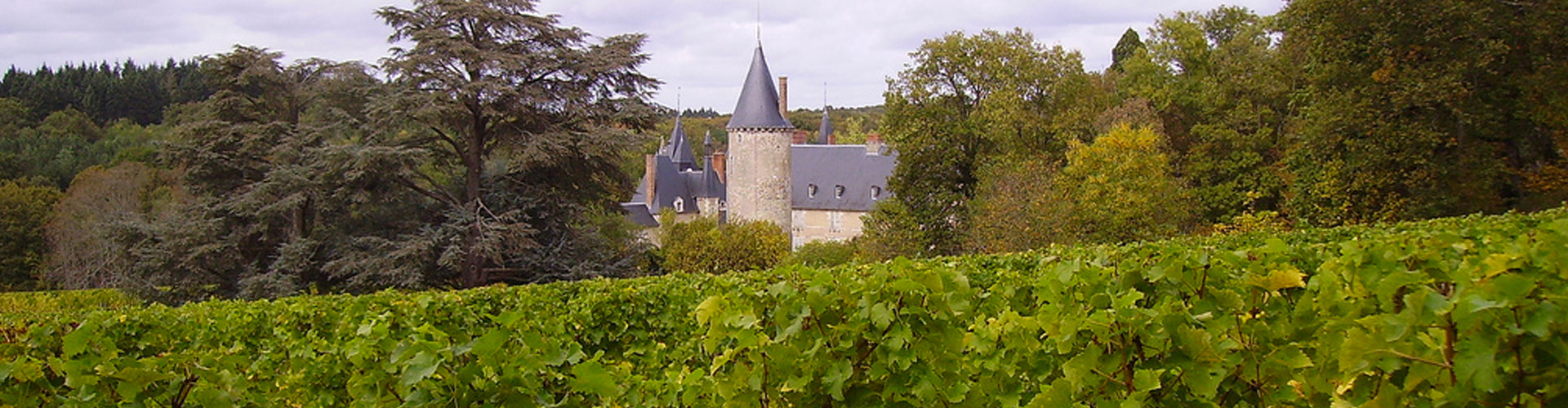 Château de Tracy Pouilly Fumé Vineyards