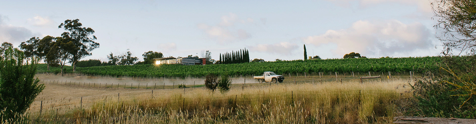 The Lane Vineyard Adelaide Hills