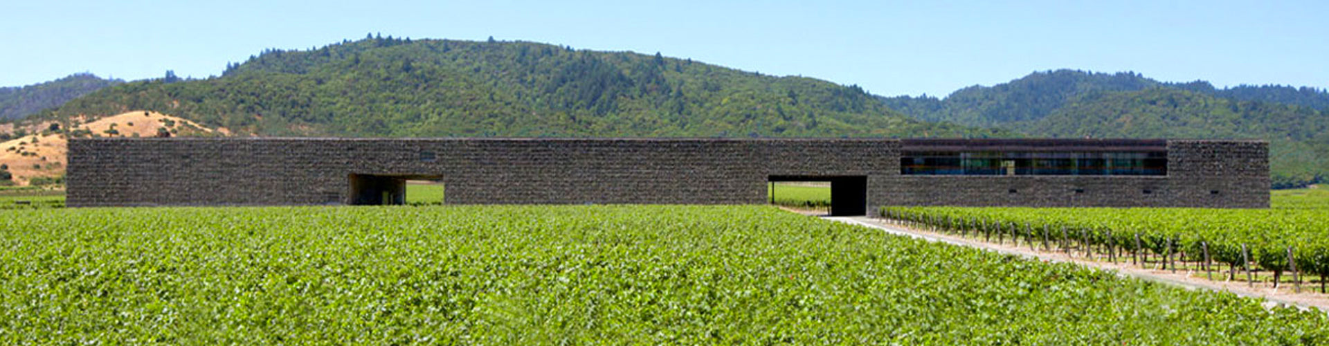 Dominus Estate Winery Napa Valley