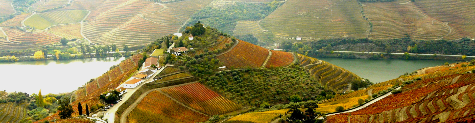 Quinta do Crasto Winery & Vineyards Douro Valley