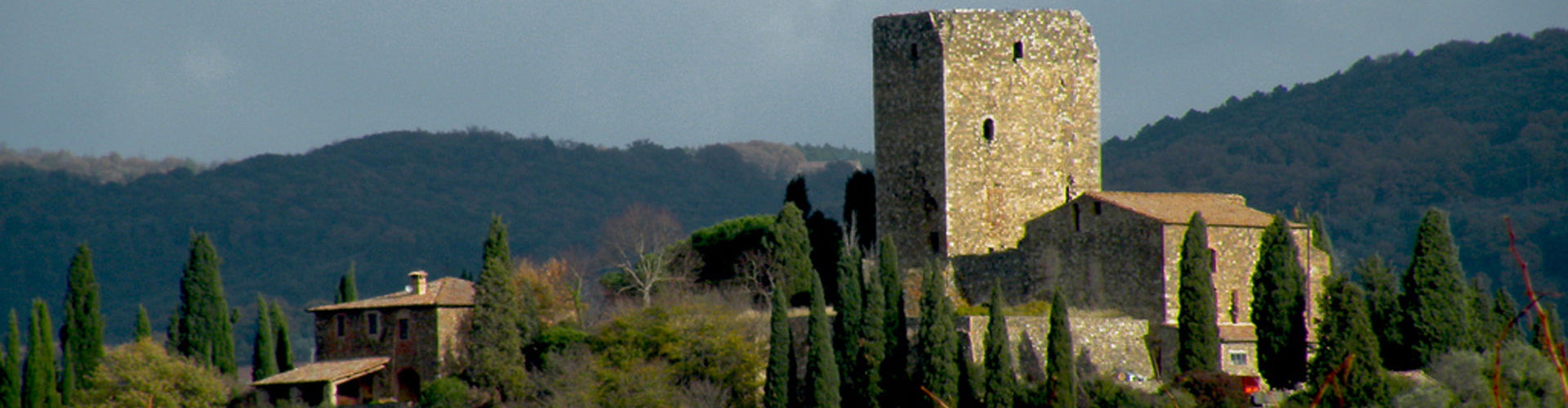 Castello di Argiano Montalcino