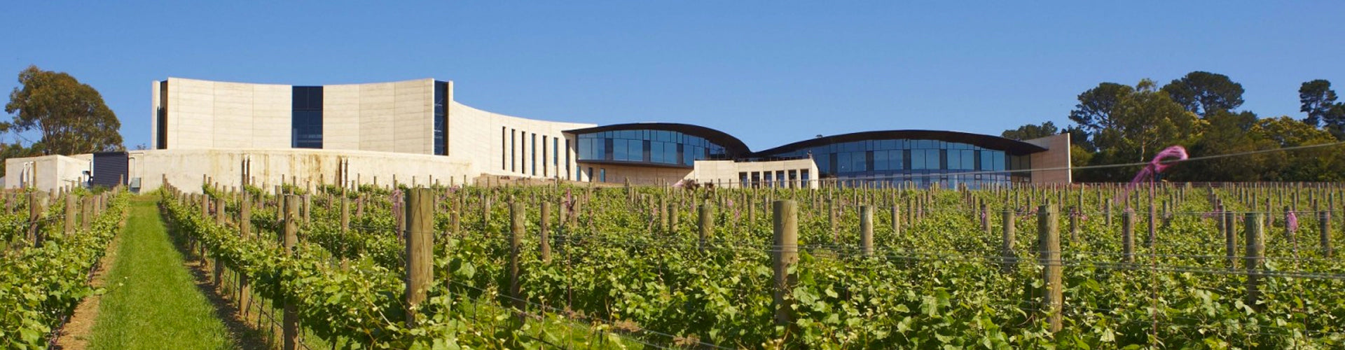 Port Phillip Wine Estate Winery in Mornington Peninsula