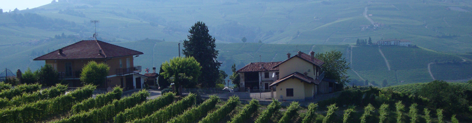 Giacosa Vineyards Neive in Piemonte, Italy