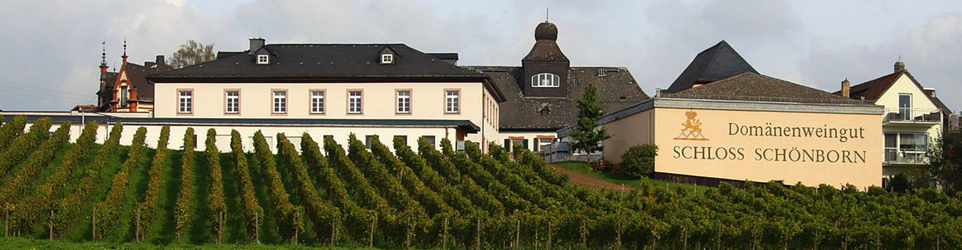 Schloss Schönborn Winery in the Rheingau
