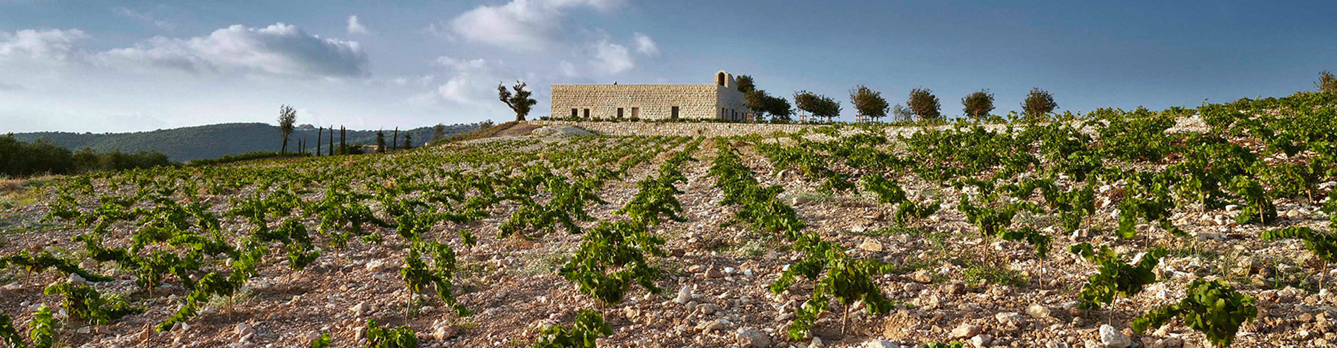 IXSIR Winery & Vineyards Batroun, Lebanon