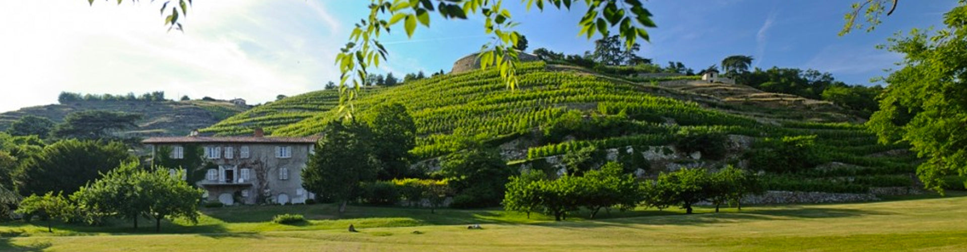 Domaine Georges Vernay Château