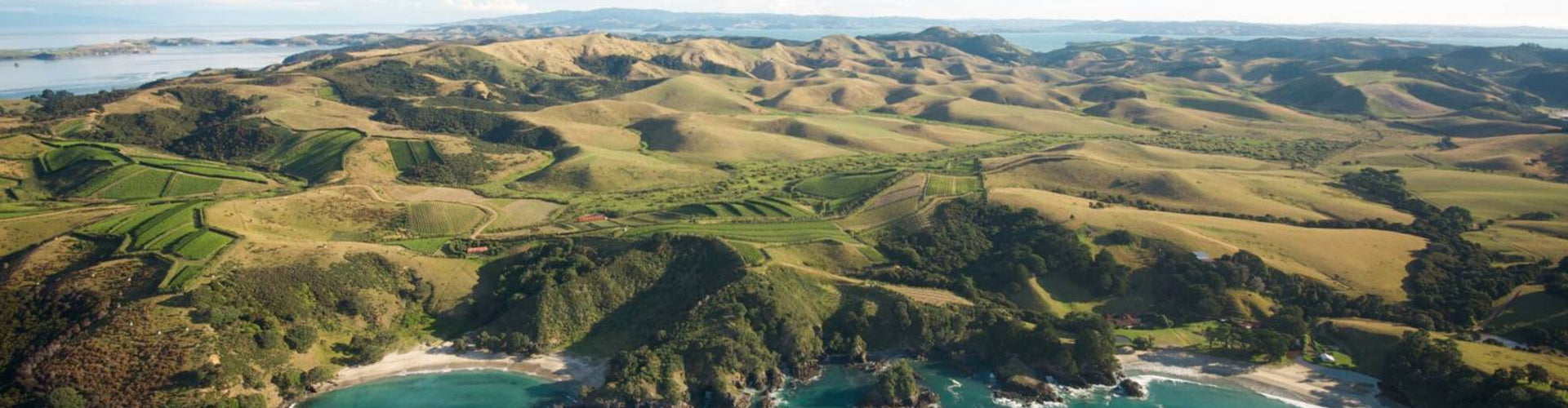 Man O' War Vineyards Waiheke Island New Zealand