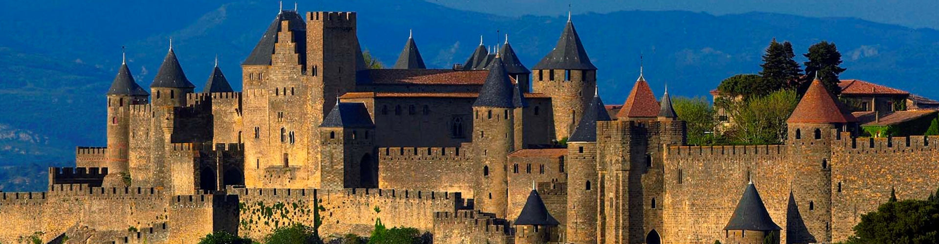 Town of Carcassonne in the Languedoc