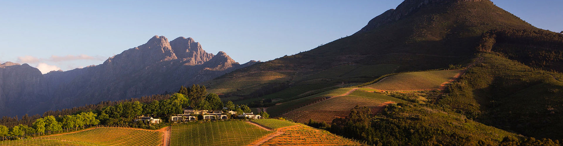 Delaire Graff Vineyards in Stellenbosch South Africa