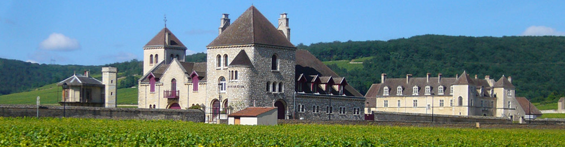 Château de la Tour & Domaine Pierre Labet