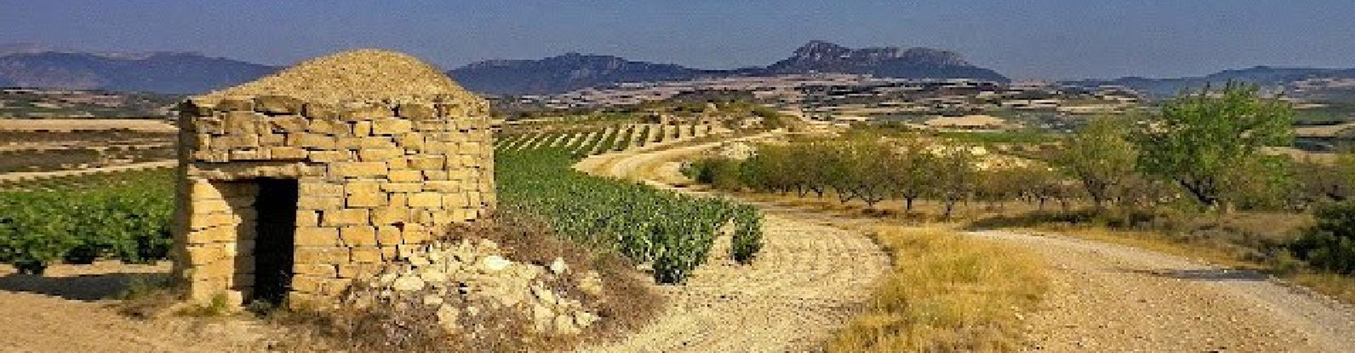 Bodegas Ondarre Rioja producer from Logroño in Spain