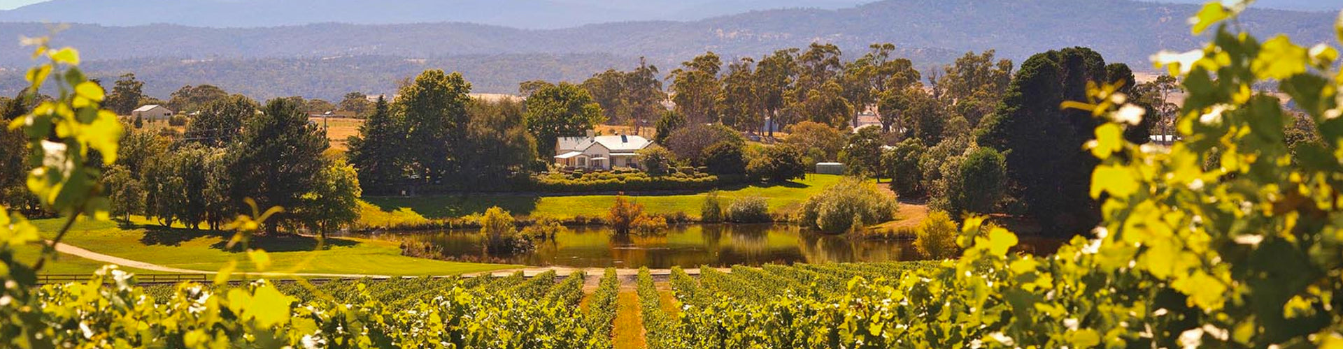 The Tamar Valley Wine Region of Tasmania