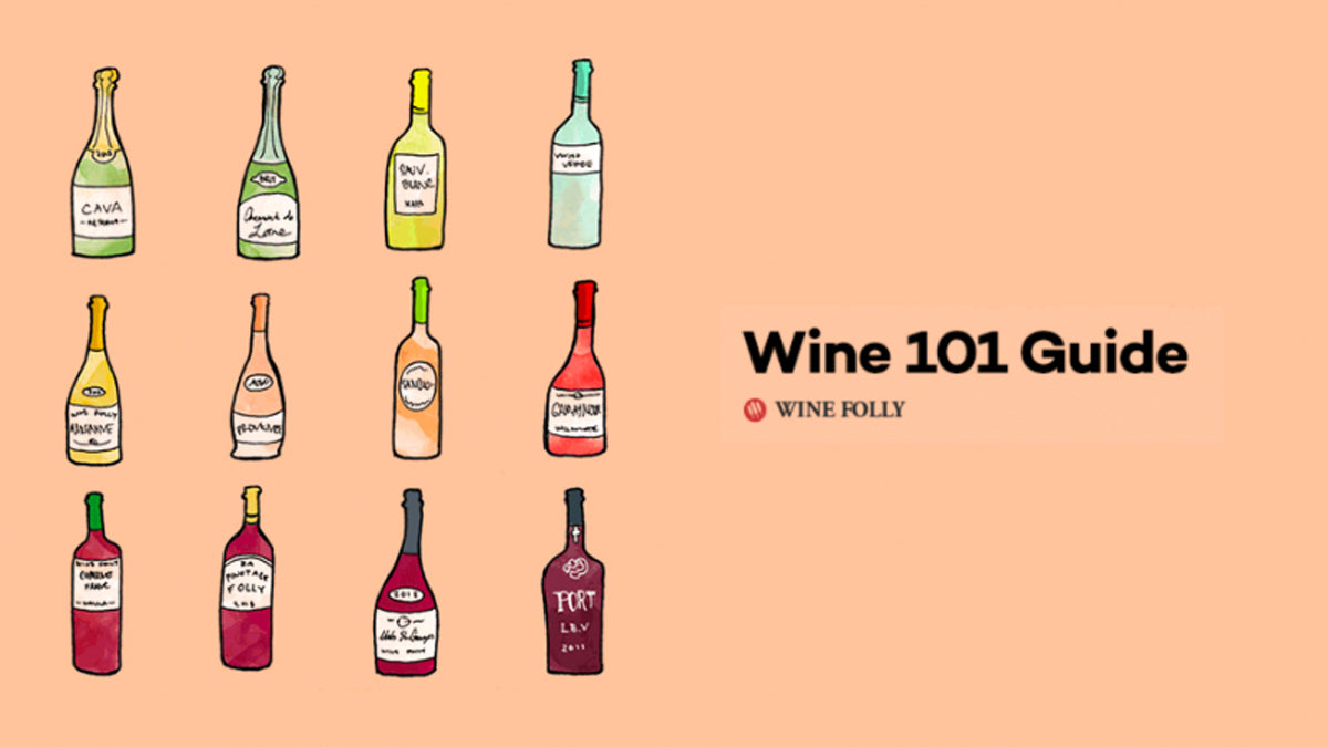 Wine Folly: Wine 101 Beginners Guide to Wine