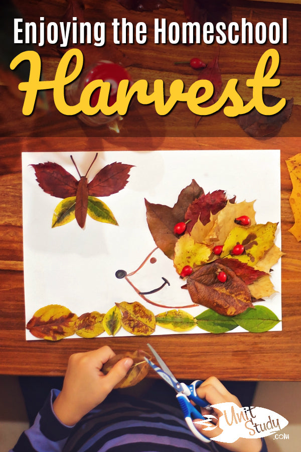 When we first started homeschooling, we were keeping our eye on the "finished product" goal, completely overlooking the daily accomplishments or "moments of harvest." It is these moments of harvest that I wanted to make you aware of -- that they should be recognized, savored, and remembered. #homeschool #homeschooling #homeschoolmom #hsmommas