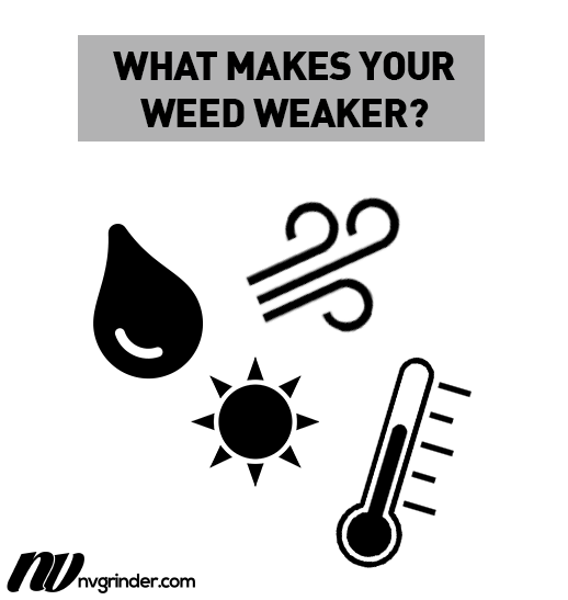 What makes your weed weaker