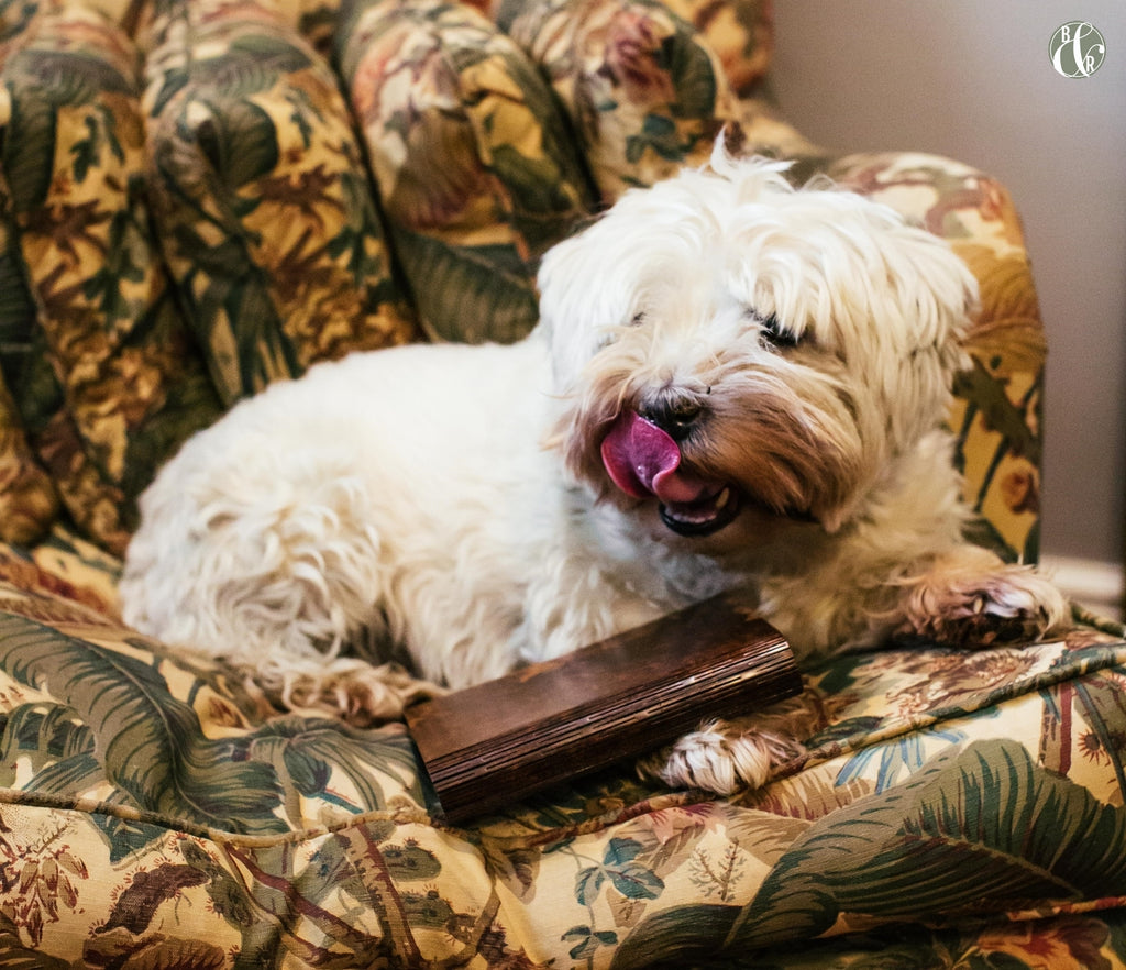 Bark & Rock's happy dog with Brown Oak natural wood notebook