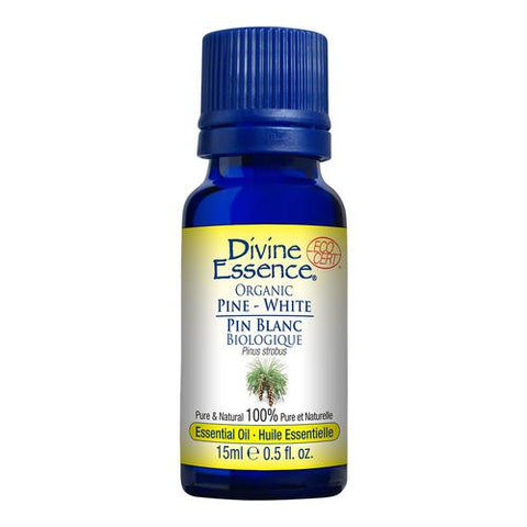 Pine White Organic Essential Oil 15ml, DIVINE ESSENCE