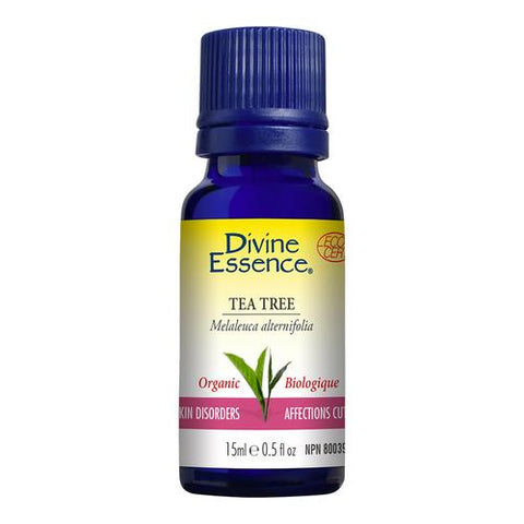 Tea Tree Organic Essential Oil 15ml, DIVINE ESSENCE
