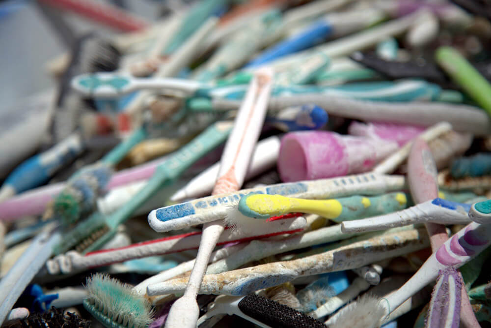 Plastic toothbrushes landfill