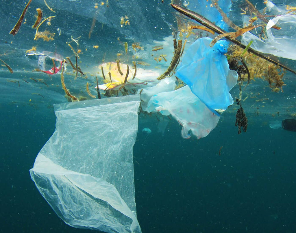 Plastic waste in the ocean