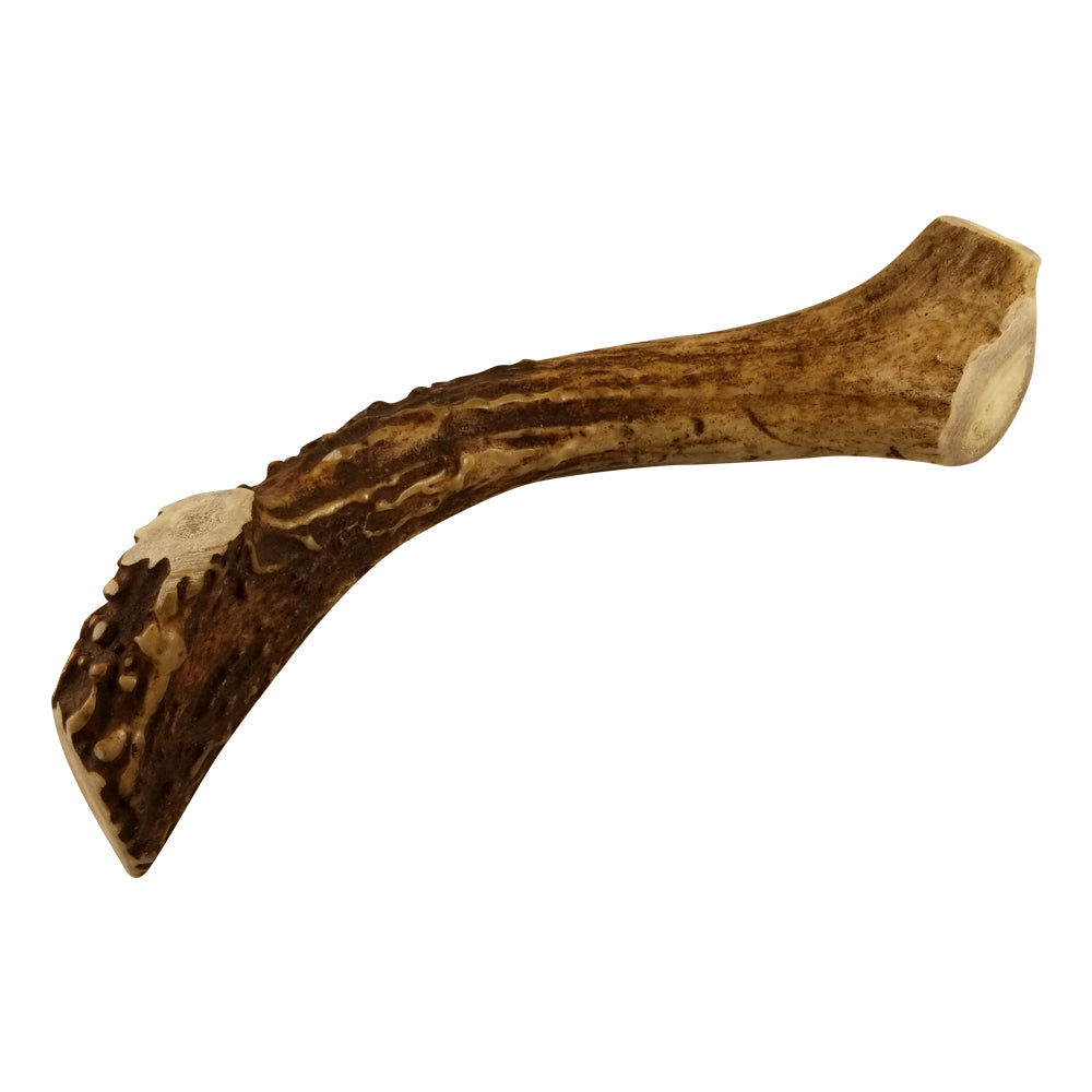 deer antler dog chew