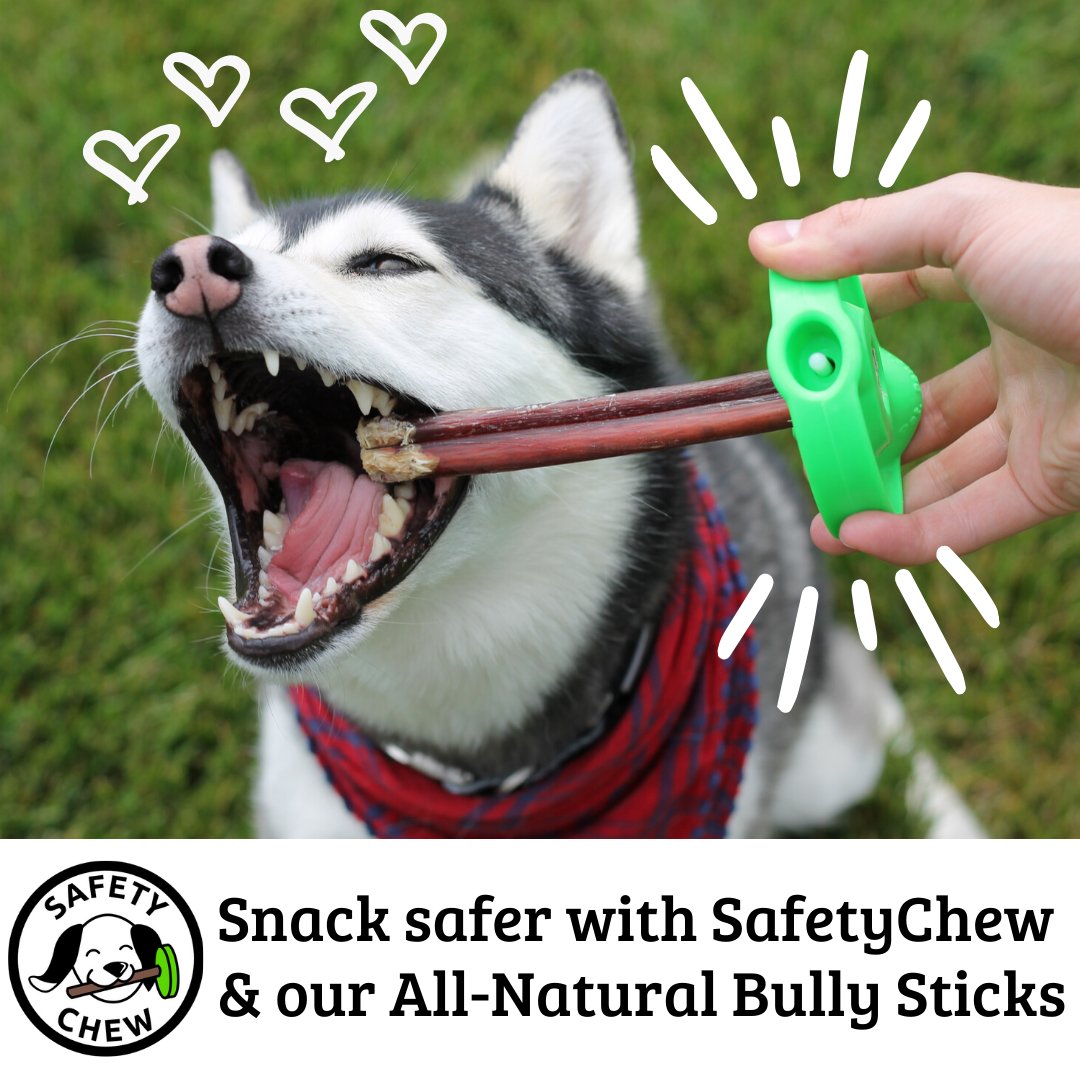 Durable Bully Stick Holder for All Dogs, Safe and Strong Bully Stick