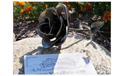 One of our happy customers sent us this amazing picture of a single metal forever rose from Boston, MA.