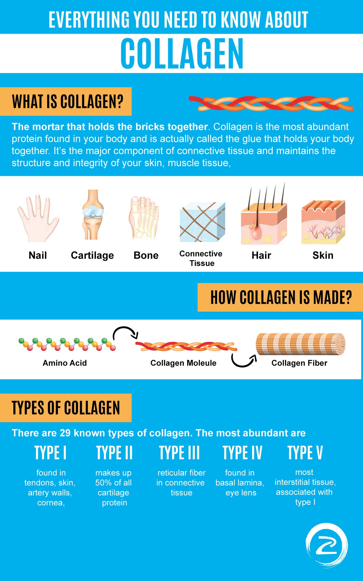 what is collagen