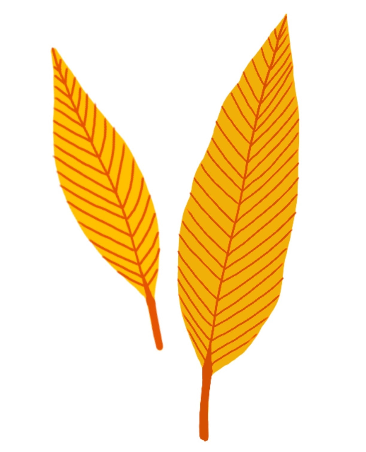 diaspora co