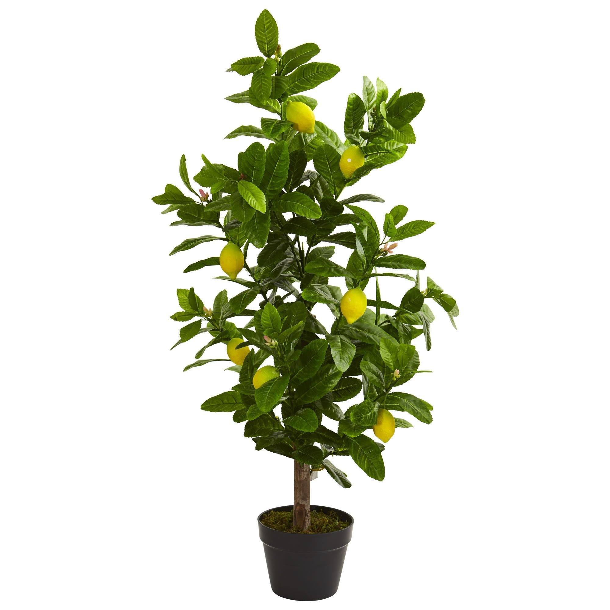 Nearly Natural Lemon Ball Arrangement Topiary Yellow 4865 for sale online 
