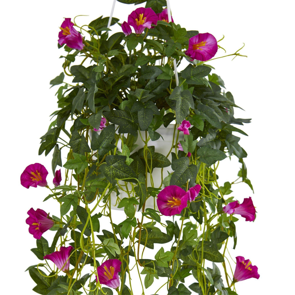 petunia baskets