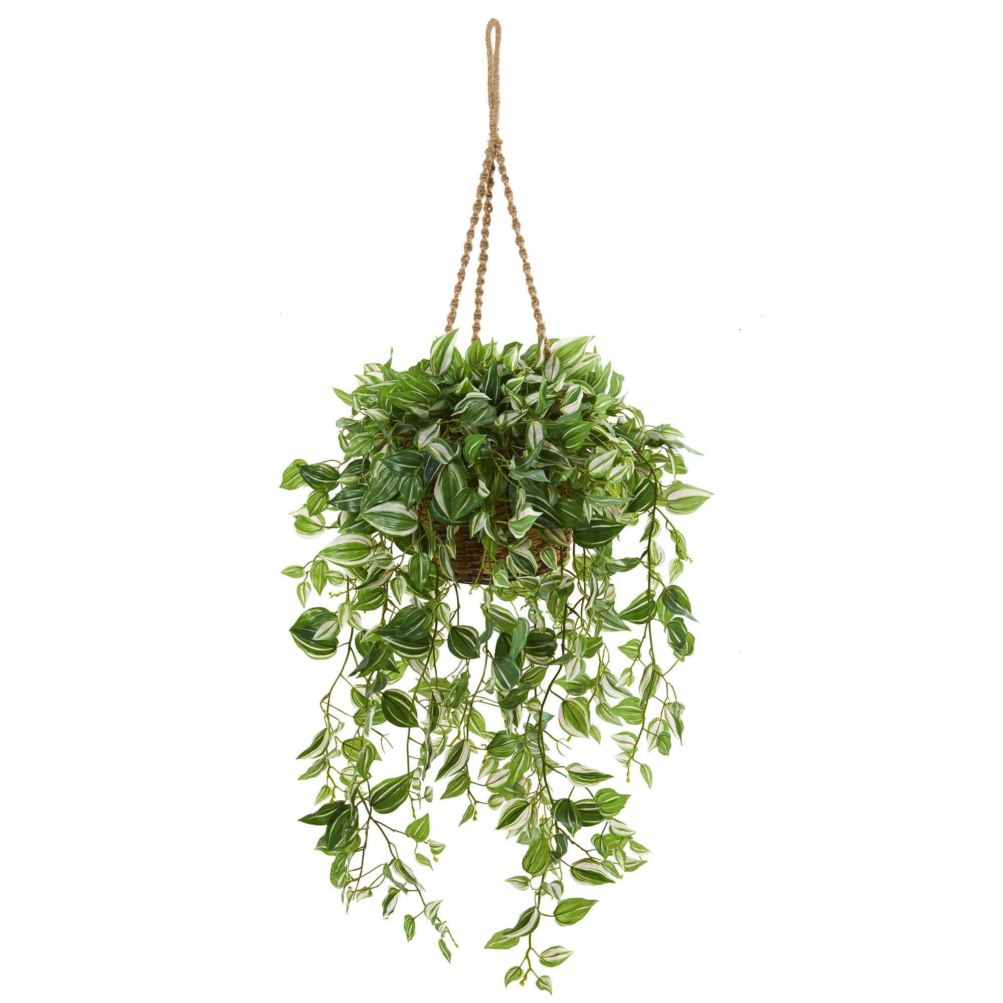 51” Wandering Jew Artificial Plant in Hanging Basket (Real Touch