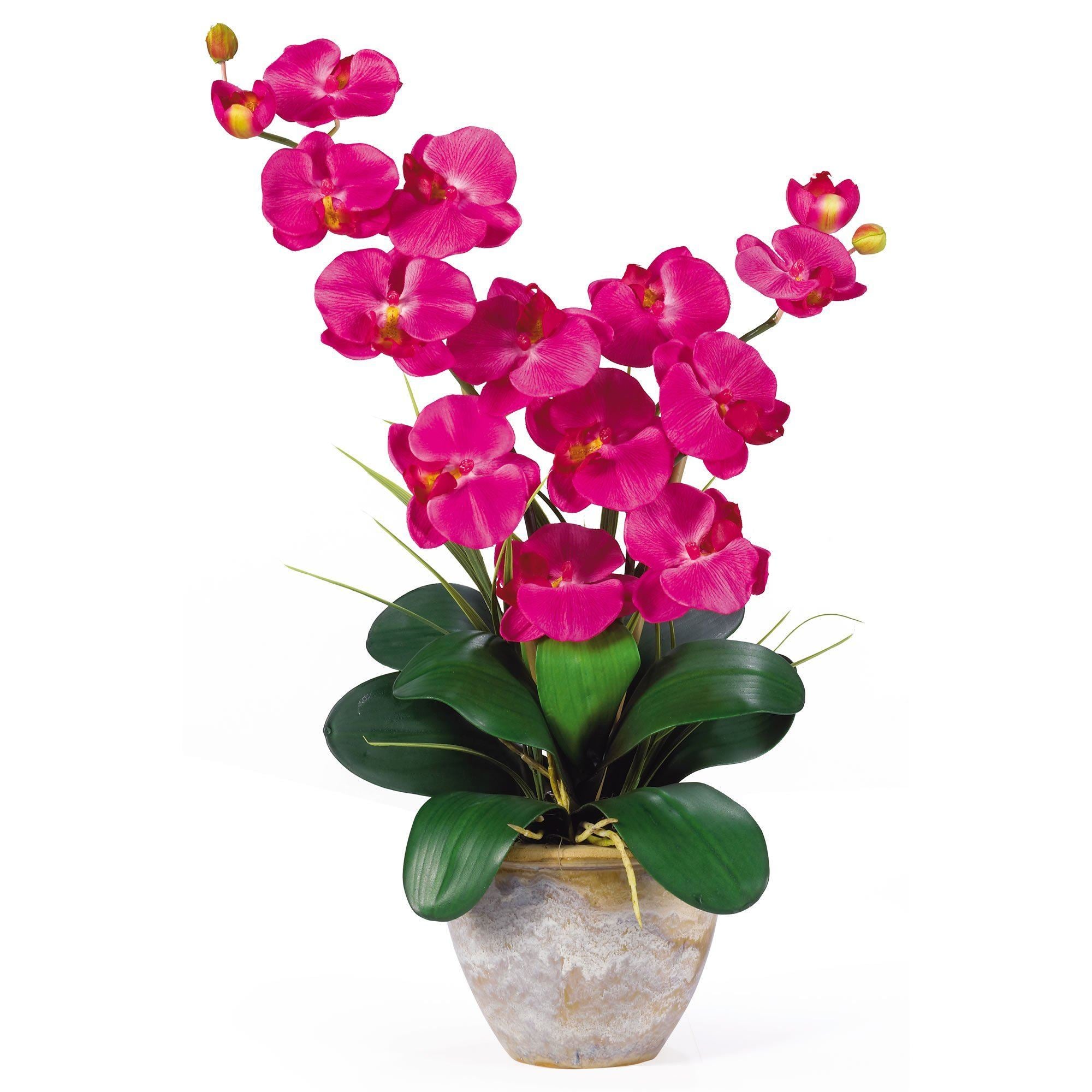 Double Stem Phalaenopsis Silk Orchid Arrangement 1026 Nearly Natural 9786