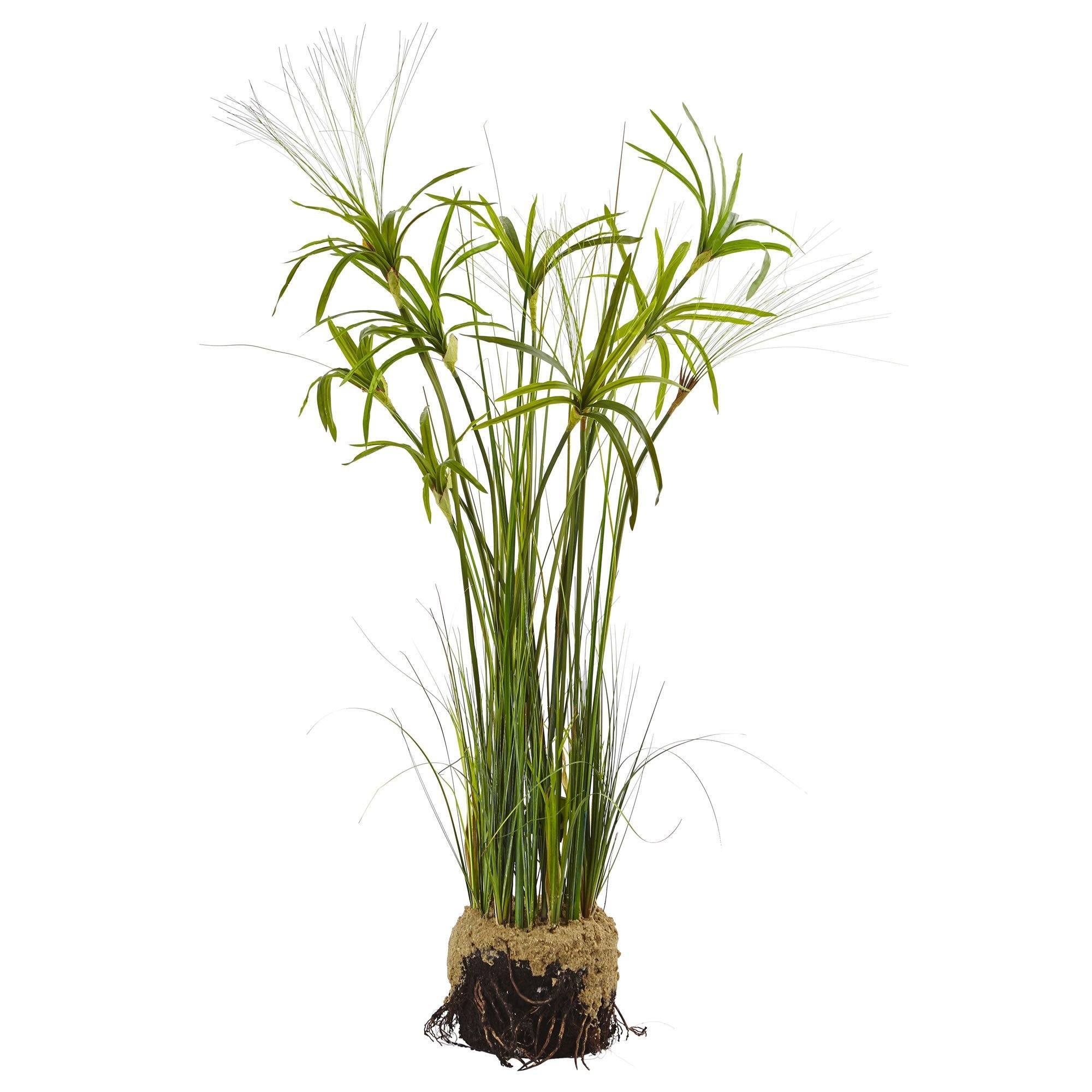 papyrus plant with faux soil