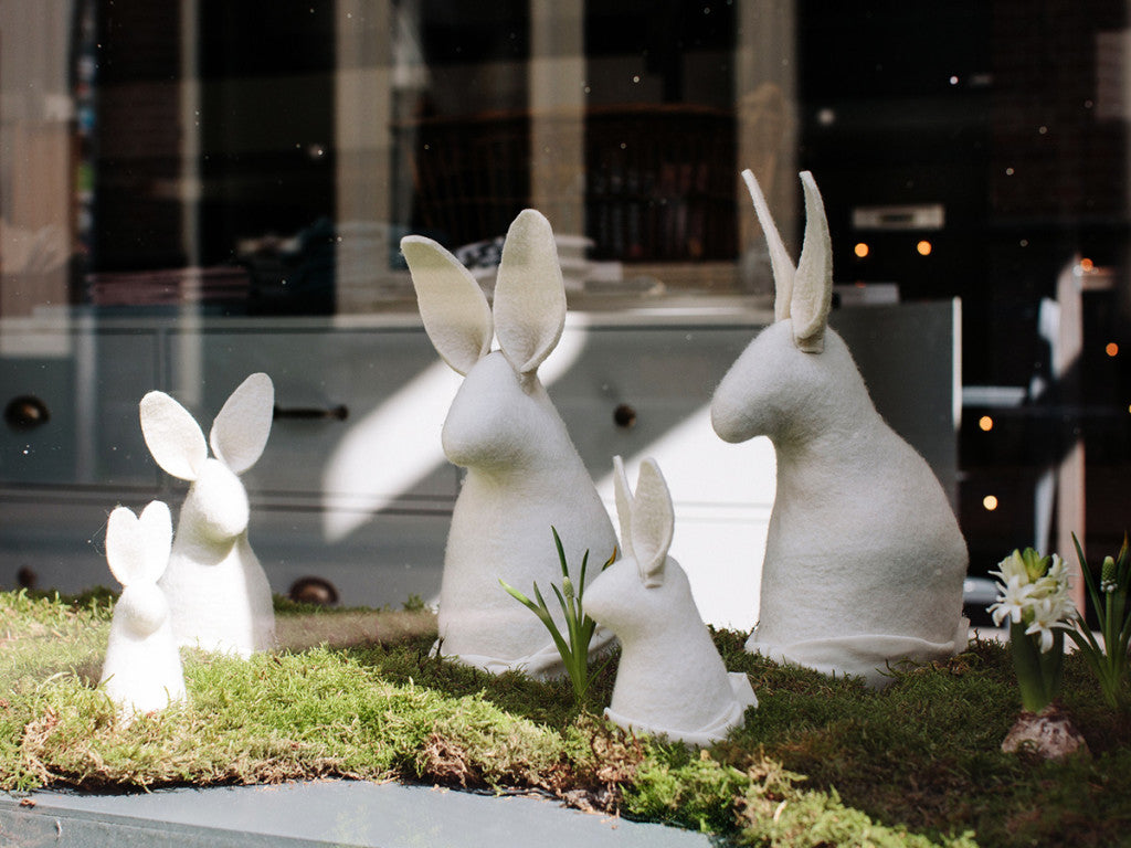 South African Bunnies in the window 