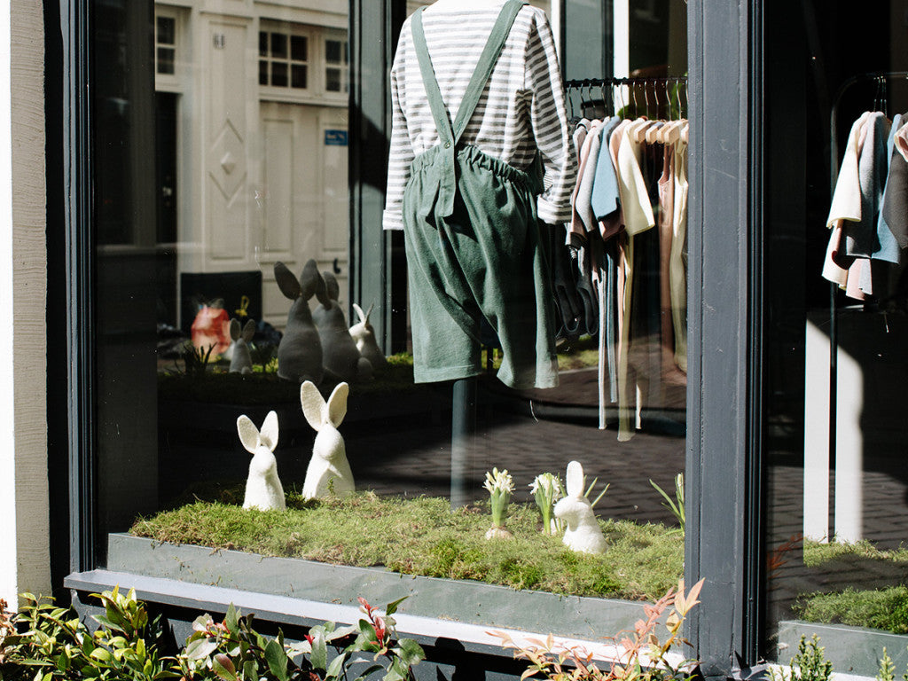 South African Bunnies in the window 