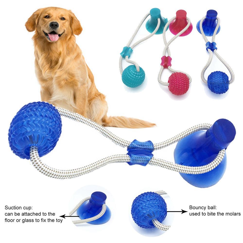 dog toy that sticks to floor