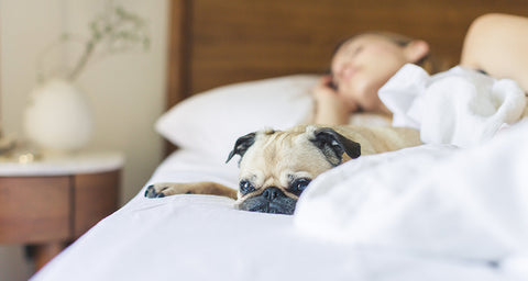 3 sleep for immunity in weight loss surgery