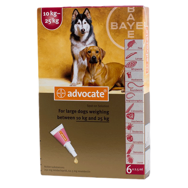 Bayer Advocate Advantage Multi Flea And Heartworm Spot On For Large Dogs 22 55 Lbs Pet Supplies Dog Cat Healthy Care Worldpet Store Worldwide Free Shipping For Orders Over 100