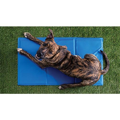 pet cooling products