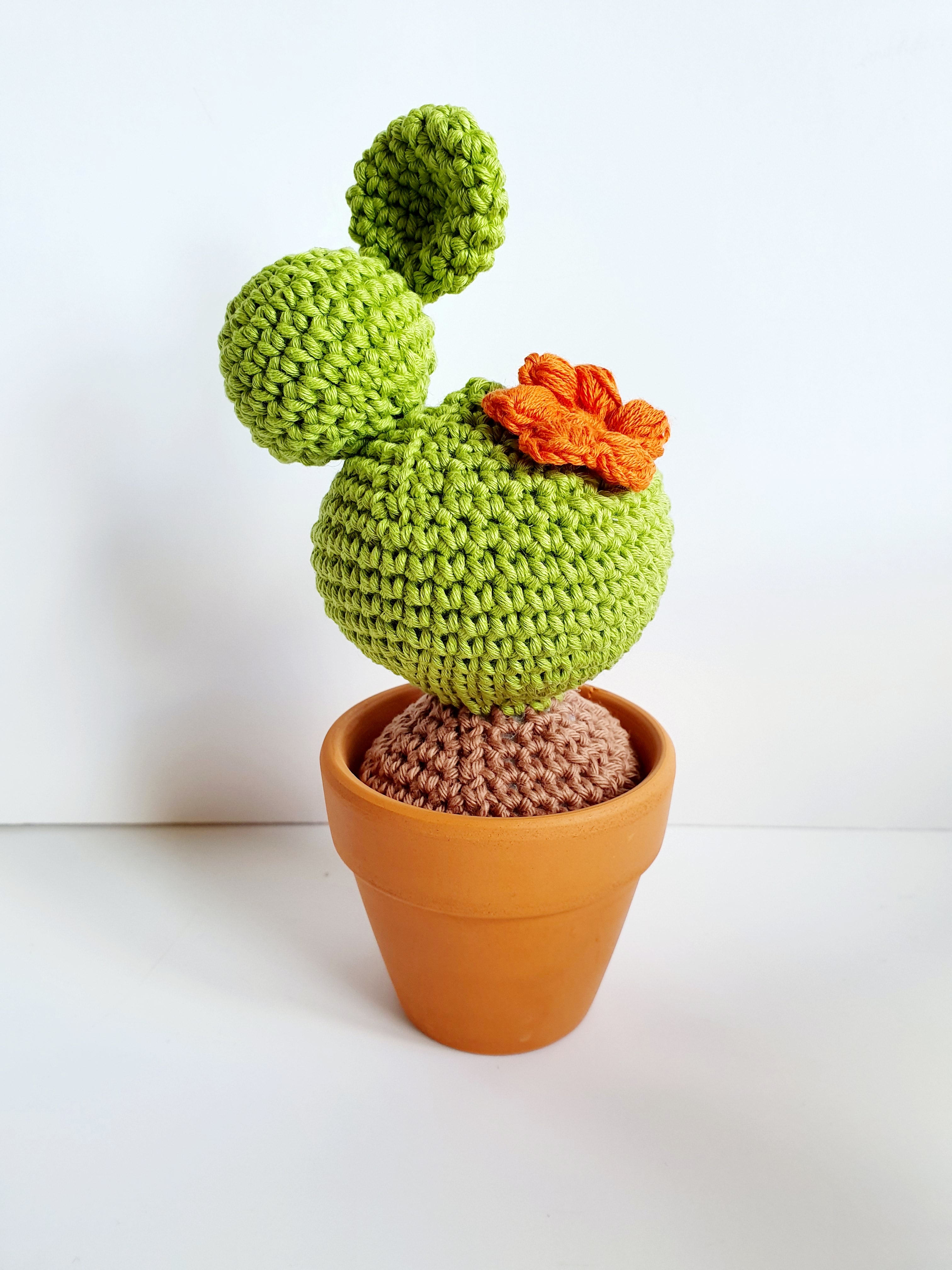 Cactus in Pot